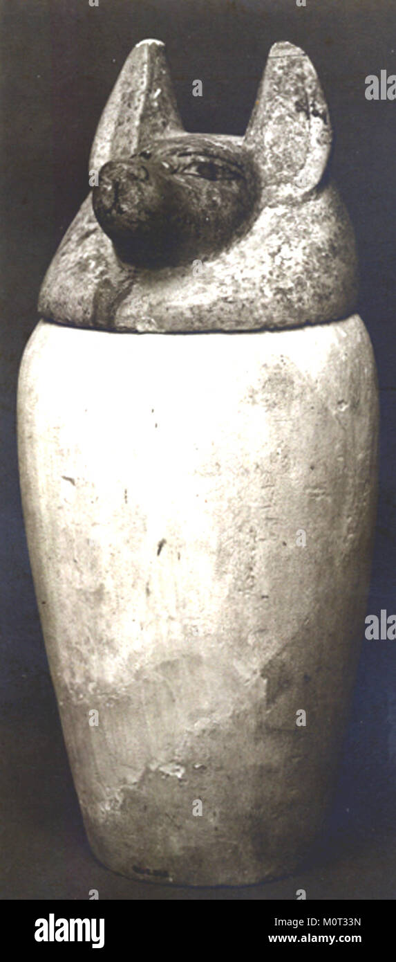Ein Canopic-Glas mit einem schakalförmigen Deckel aus dem alten Ägypten, das sich in der Sammlung des Metropolitan Museum of Art befindet. Dieses Artefakt wurde zur Aufbewahrung innerer Organe während der Mumifikation verwendet. Stockfoto