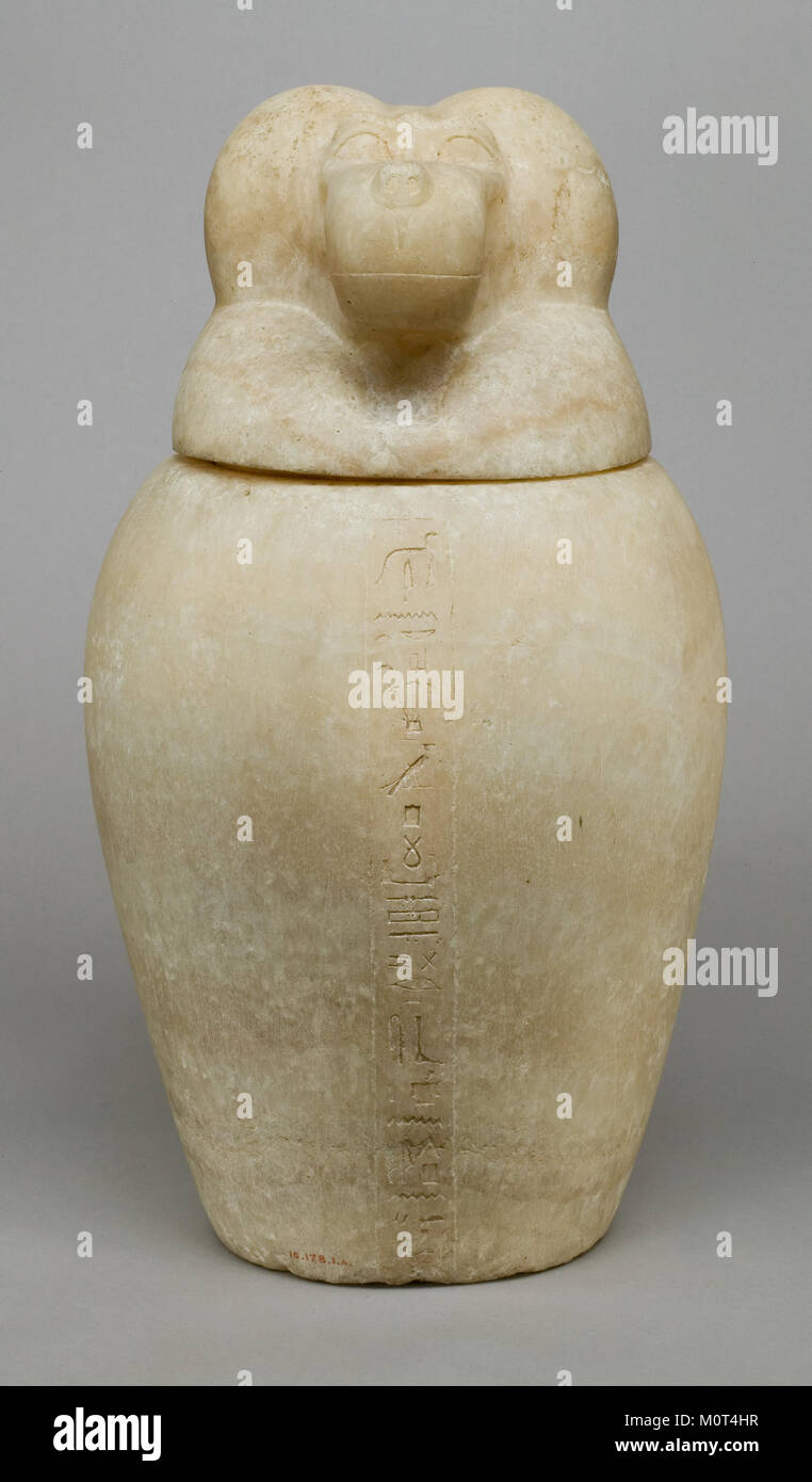 Dieses Kanopenglas mit einem Deckel mit Paviankopf, der den Gott Hapy repräsentiert, ist Teil der ägyptischen Begräbnistradition. Es wurde zur Aufbewahrung innerer Organe während der Mumifikation verwendet. Stockfoto