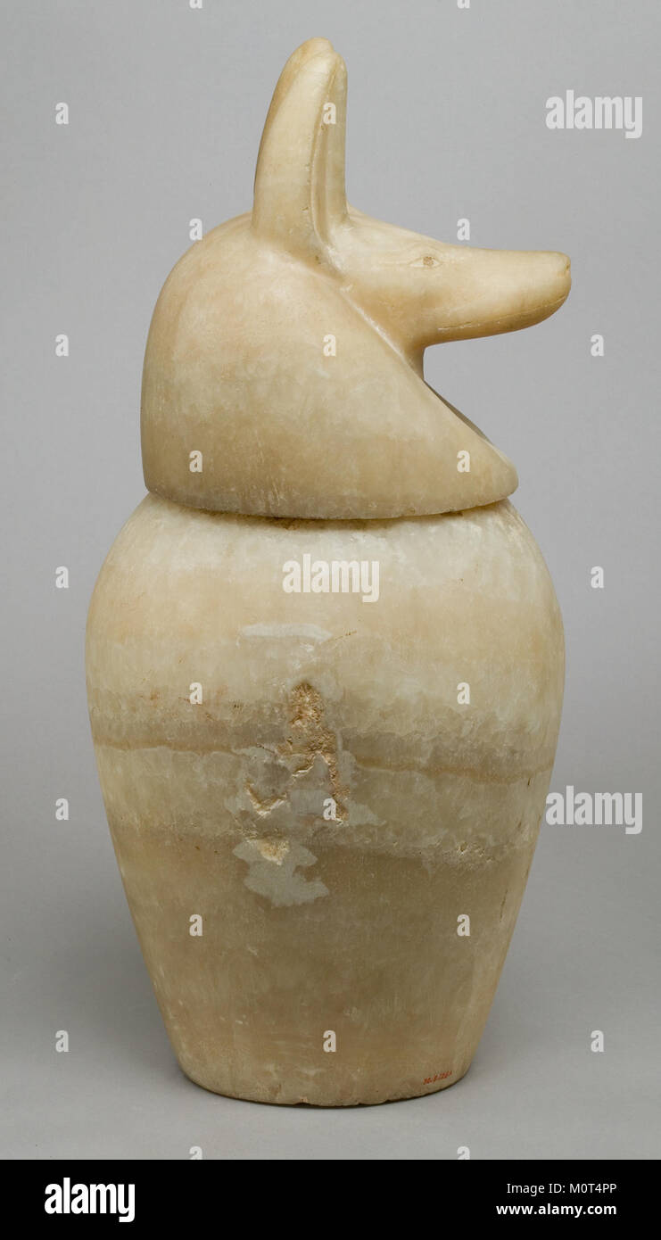 Dieses aus dem alten Ägypten stammende Kanopenglas hat einen Schakaldeckel, der den Gott Anubis symbolisiert. Es wurde für die Aufbewahrung innerer Organe während der Mumifizierung verwendet, um altägyptische Begräbnispraktiken zu veranschaulichen. Stockfoto