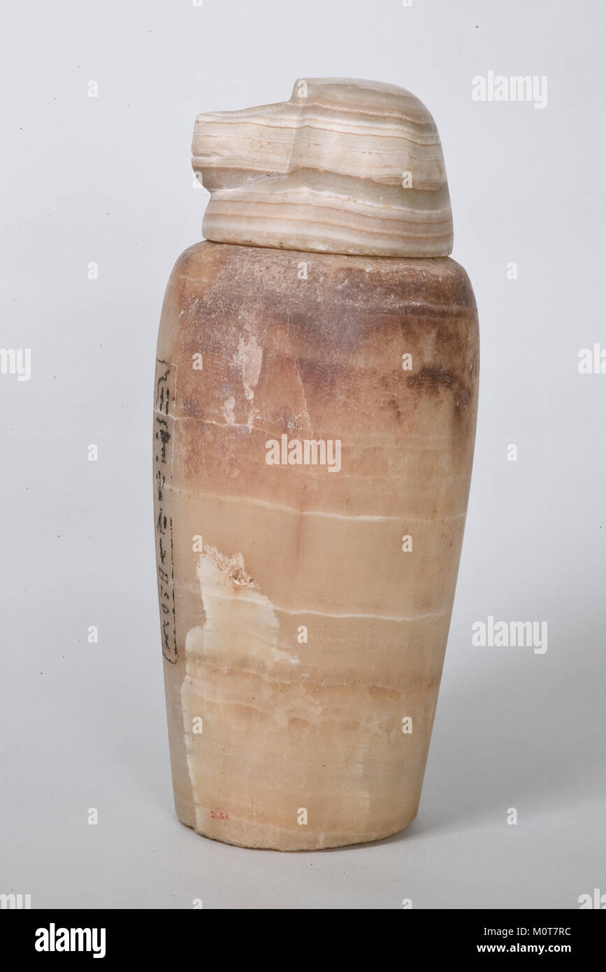 Der Deckel eines altägyptischen Kanopenbehälters, DER AUF 21,5ab TRIFFT, ist ein Bestattungsgerät, das verwendet wird, um die inneren Organe des Verstorbenen zu lagern. Der Deckel ist oft mit Symbolen für Schutz und Erhaltung versehen. Stockfoto