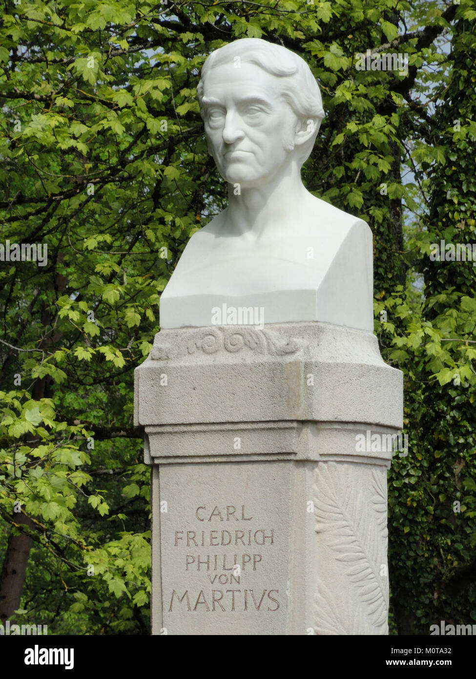 Das Denkmal ehrt Carl Friedrich Philipp von Martius, einen deutschen Botaniker und Forscher, der für seine naturwissenschaftlichen Arbeiten bekannt ist. Die Gedenkstätte erinnert an seine wissenschaftlichen Beiträge. Stockfoto