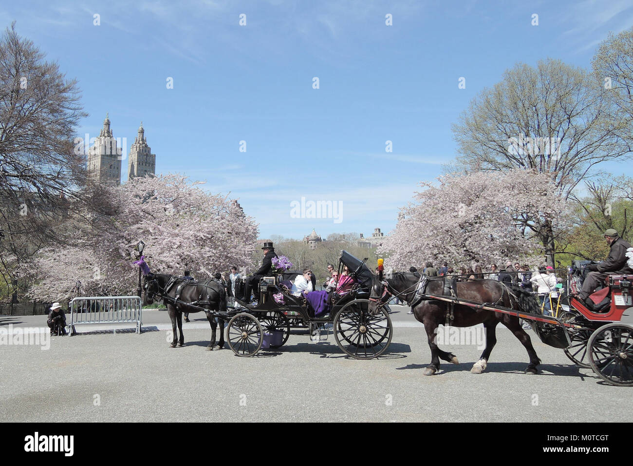 Der Central Park in New York City bietet Pferdekutschen in der Gegend von Cherry Hill, einem beliebten und landschaftlich reizvollen Ort innerhalb des Parks, der für seine ruhige Atmosphäre bekannt ist. Stockfoto