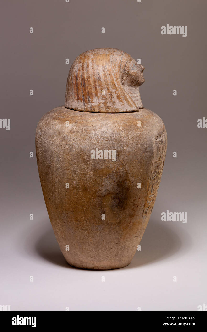 Das Kanopische Gefäß von Ruiu ist ein altägyptisches Artefakt, in dem die inneren Organe des Verstorbenen zur Vorbereitung der Mumifizierung aufbewahrt werden. Das Glas ist Teil der ägyptischen Begräbnispraxis und zeigt die Kunst und Kultur des alten Ägypten. Stockfoto
