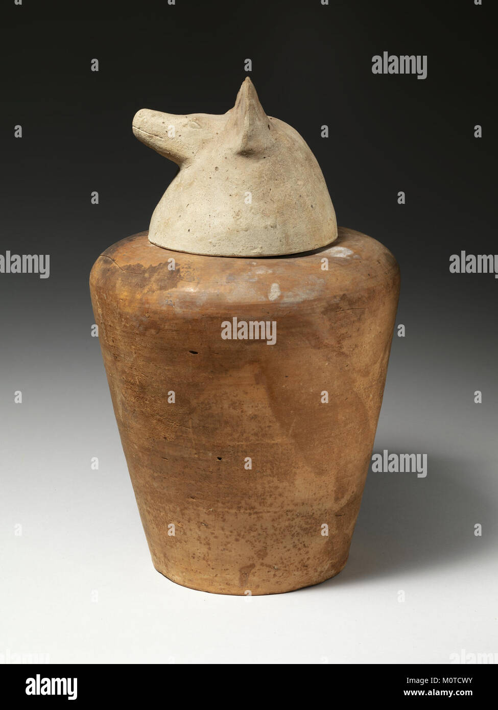 Das Kanopische Gefäß von Tetinakht-Duamutef ist ein altägyptisches Artefakt, das zur Aufbewahrung innerer Organe während der Mumifikation verwendet wird. Es repräsentiert die Begräbnispraktiken der damaligen Zeit. Stockfoto