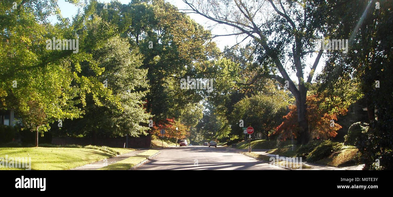 Central Gardens Arboreta ist ein botanischer Garten, der für seine Sammlung von Pflanzenarten und seine Rolle bei der Förderung der Umweltbildung bekannt ist. Sie bietet Besuchern die Möglichkeit, mehr über verschiedene Pflanzenarten und ihre ökologische Bedeutung zu erfahren. Stockfoto Central Gardens Arboreta ist ein botanischer Garten, der für seine Sammlung von Pflanzenarten und seine Rolle bei der Förderung der Umweltbildung bekannt ist. Sie bietet Besuchern die Möglichkeit, mehr über verschiedene Pflanzenarten und ihre ökologische Bedeutung zu erfahren. Stockfoto