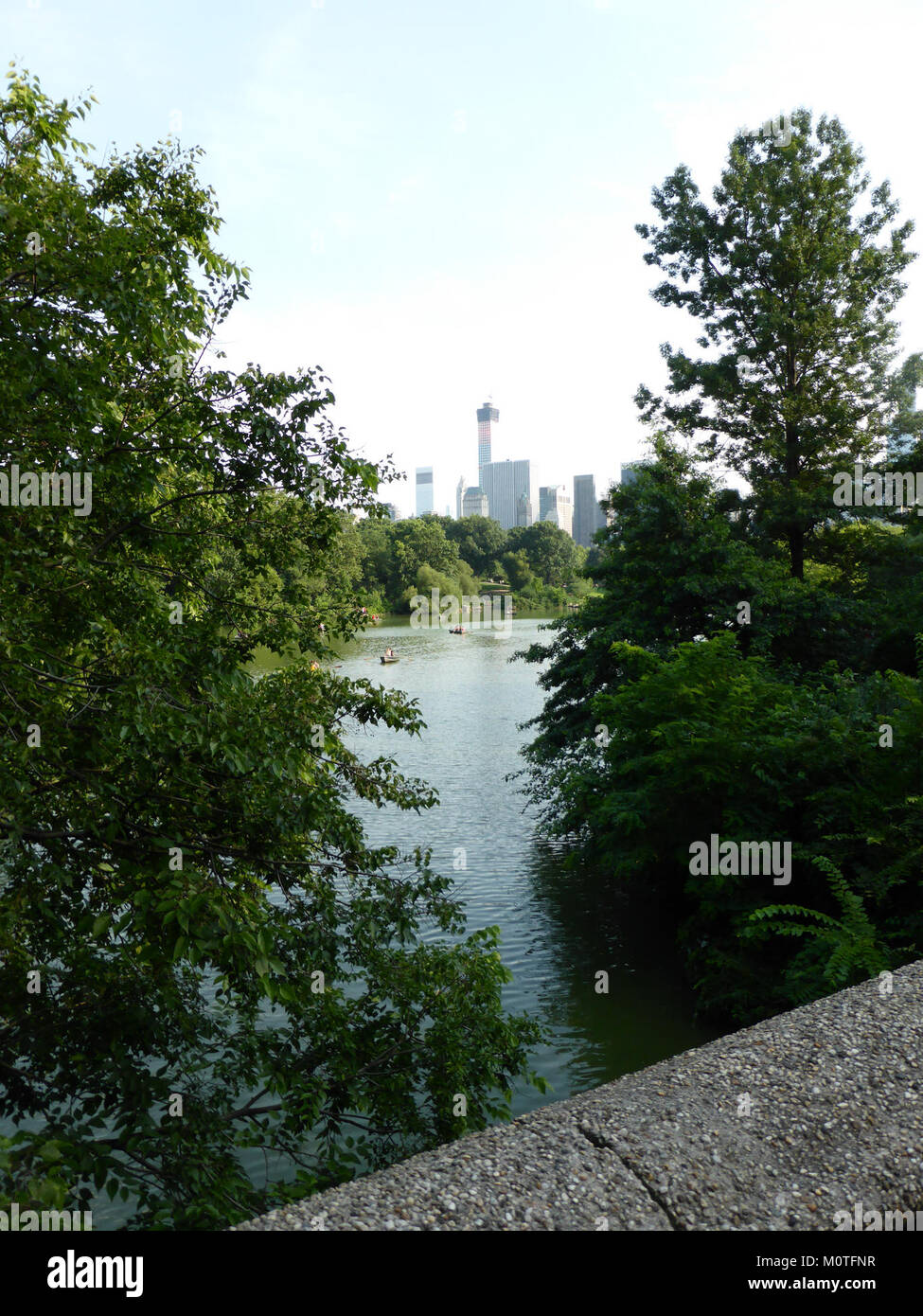 Ein Panoramablick auf den Central Park, New York City, mit seinen weitläufigen Grünflächen, Wanderwegen und Erholungsgebieten. Der Central Park ist nach wie vor ein berühmter Stadtpark im Herzen von Manhattan. Stockfoto
