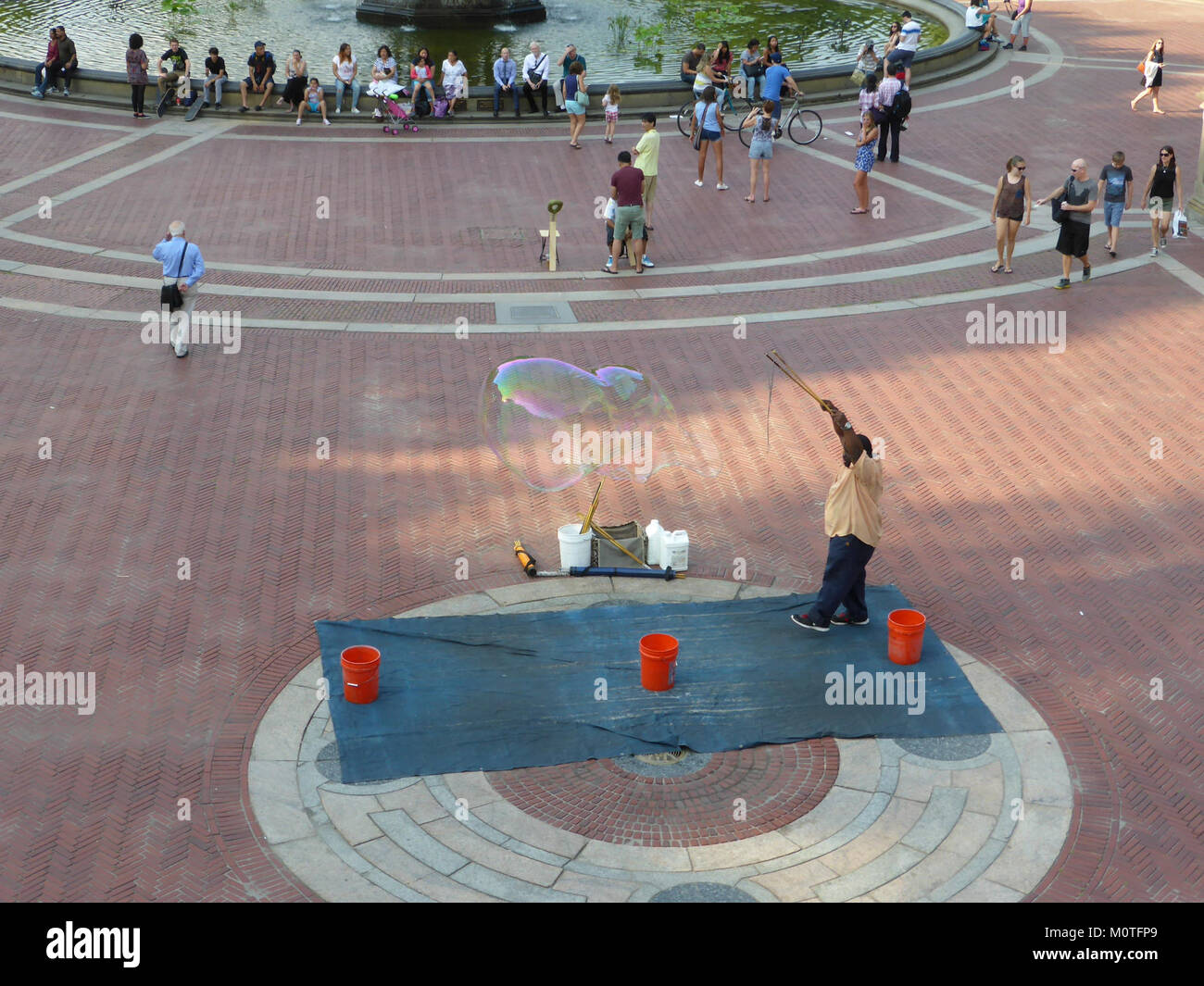 Das Bild mit dem Titel „Central-Park-14“ zeigt einen Blick auf den Central Park, einen der berühmtesten öffentlichen Parks von New York City, der für sein weitläufiges Grün, seine Landschaften und seine Erholungsgebiete bekannt ist. Stockfoto