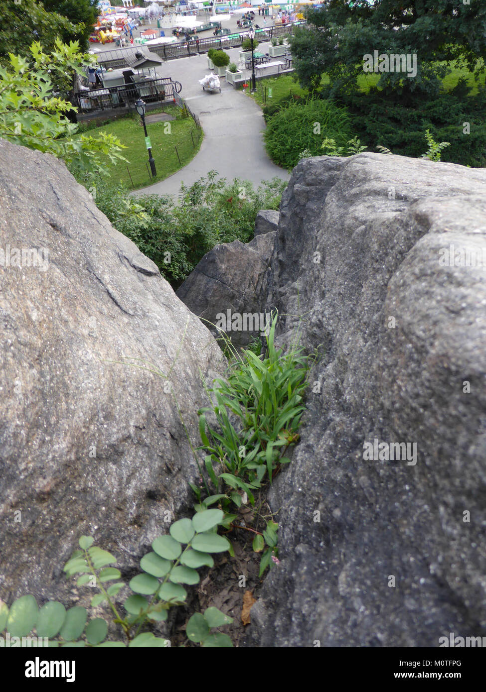 Foto des Central Park in New York City, der seine Landschaften und Erholungsräume im Jahr 2011 zeigt. Stockfoto