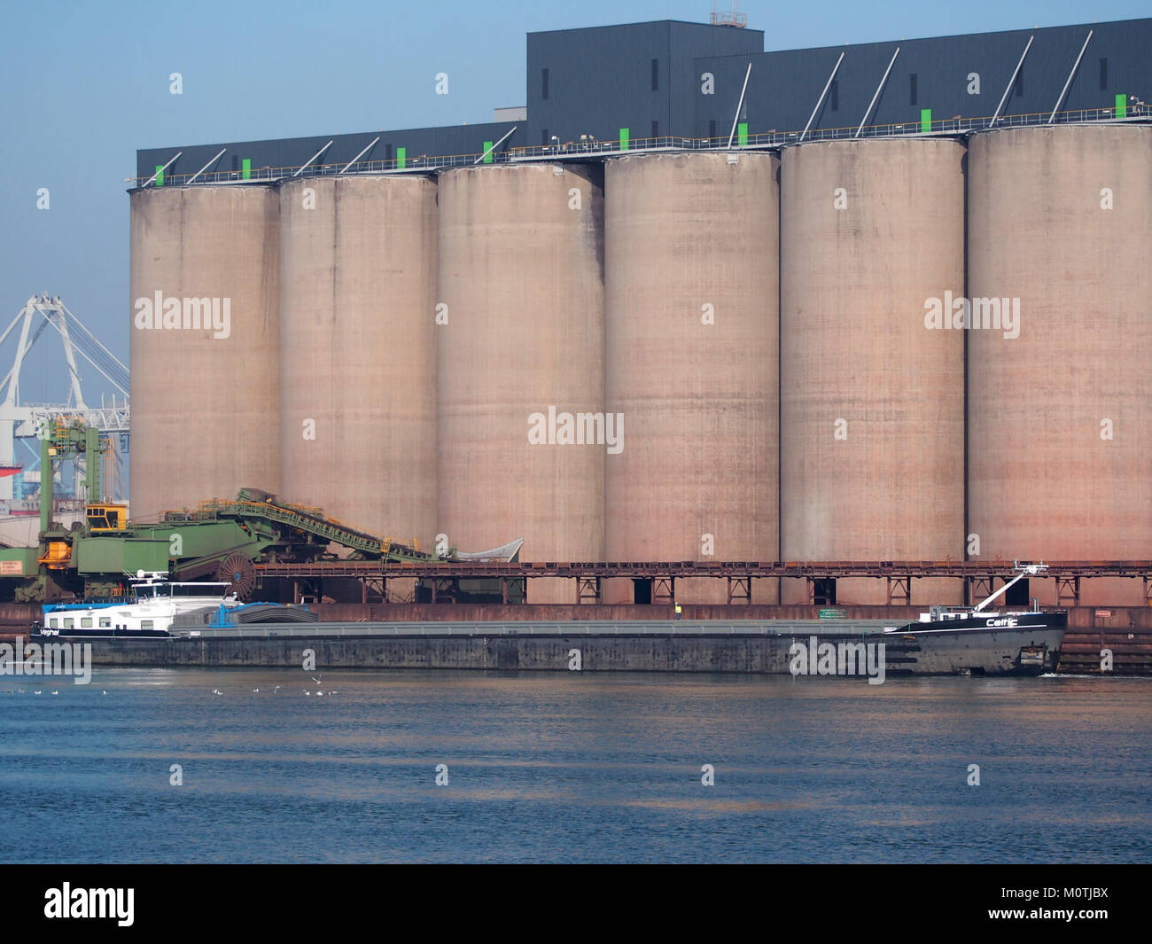 Das Bild zeigt ein keltisches Schiff, das in Hartelhaven im Hafen von Rotterdam angedockt ist. Das Schiff ist Teil der maritimen Geschichte, mit einer bemerkenswerten Präsenz in der Schifffahrtsindustrie der regionâ. Stockfoto