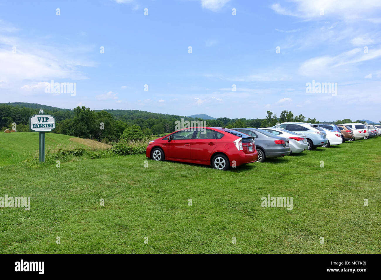 Das Castleton Festival Grounds 2015 bot eine Reihe von Aufführungen und Outdoor-Aktivitäten, die die Kunst und Kultur in der Gegend von Castleton zelebrierten. Das Festival brachte lokale und internationale Künstler zusammen und bot Musik, Theater und andere künstlerische Ausdrucksformen in einer malerischen Umgebung im Freien. Stockfoto