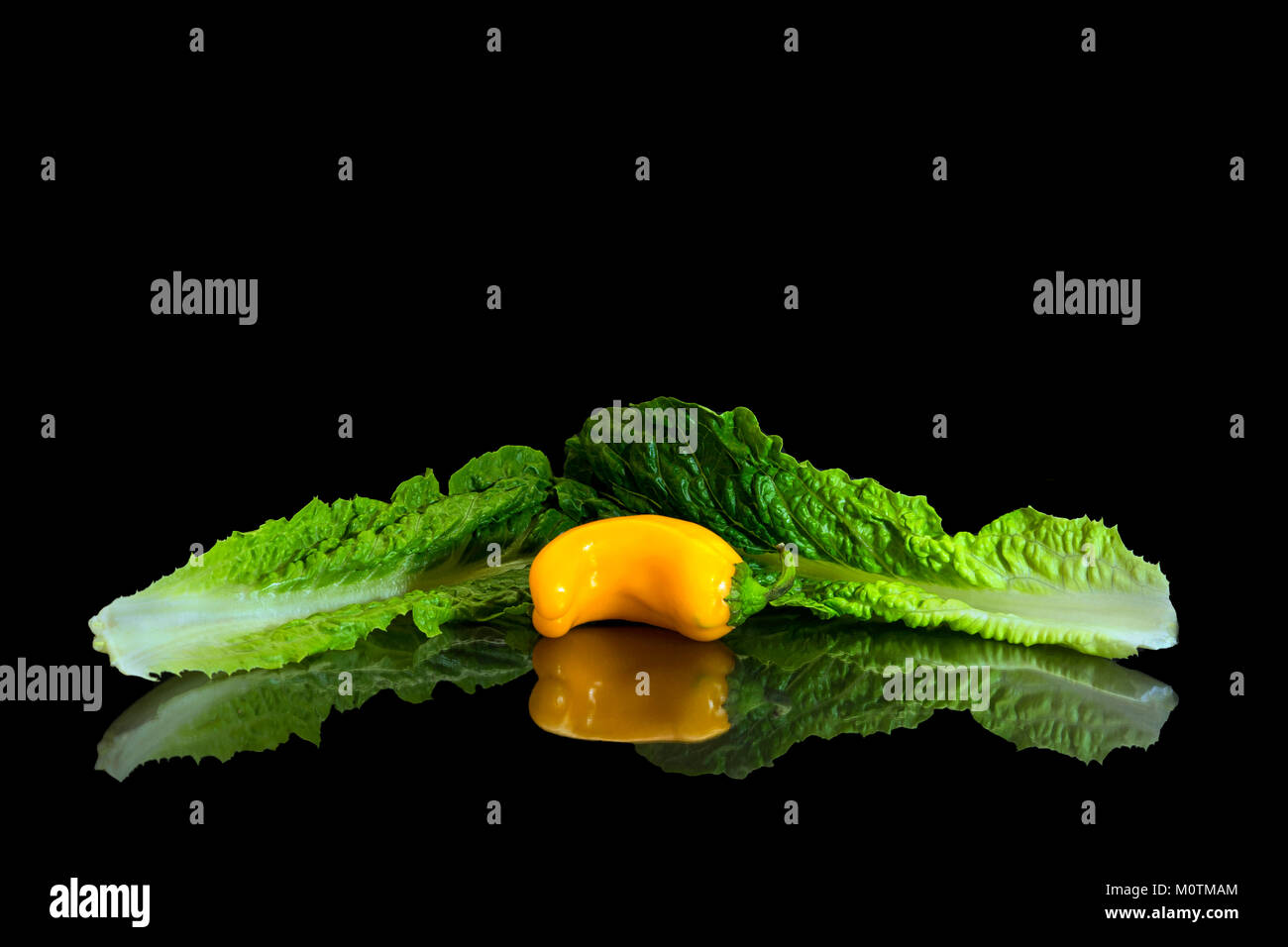 Eine süße gelbe Paprika und Romain Kopfsalat in Reflexion. Essen als Kunst ist so gut, wie das Essen zu essen! Stockfoto