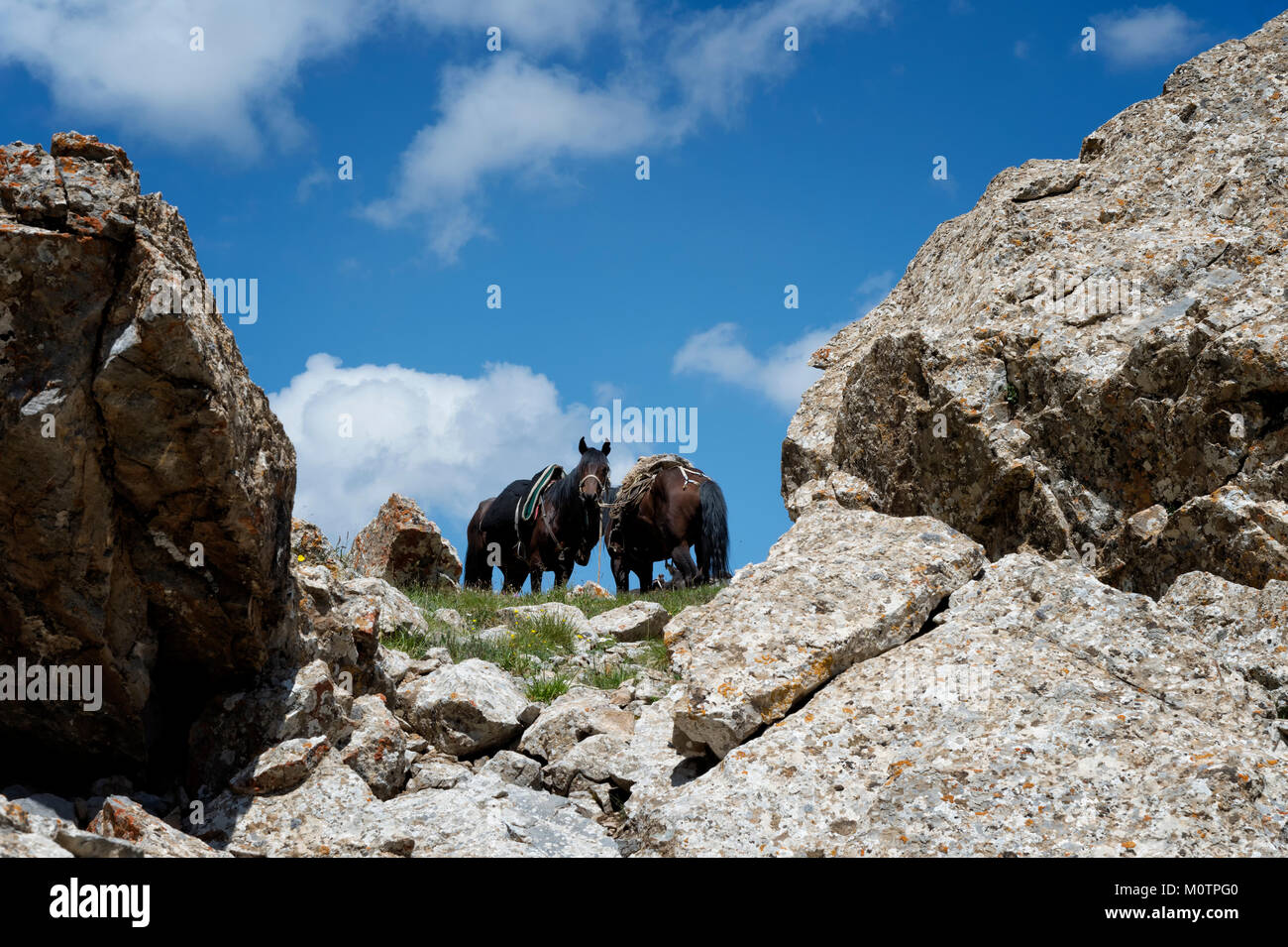 Köl-Suu kurumduk Tal, See, Provinz Naryn, Kirgisistan, Zentralasien Stockfoto