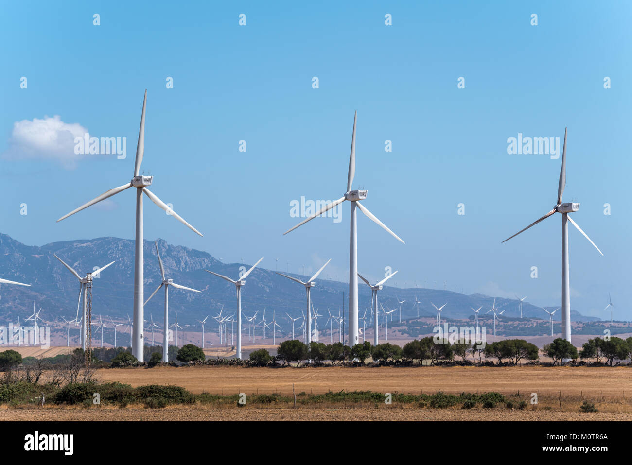 Wind Farm in der Provinz von Cádiz, Andalusien, Spanien Stockfoto