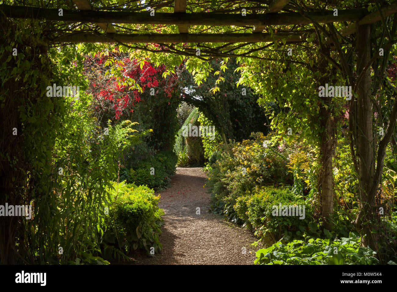 Der Strauch und die krautigen Grenzen im Spätsommer von unterhalb der hölzernen Pergola innerhalb des ummauerten Gartens von Rousham House, Oxfordshire, England aus gesehen. Stockfoto