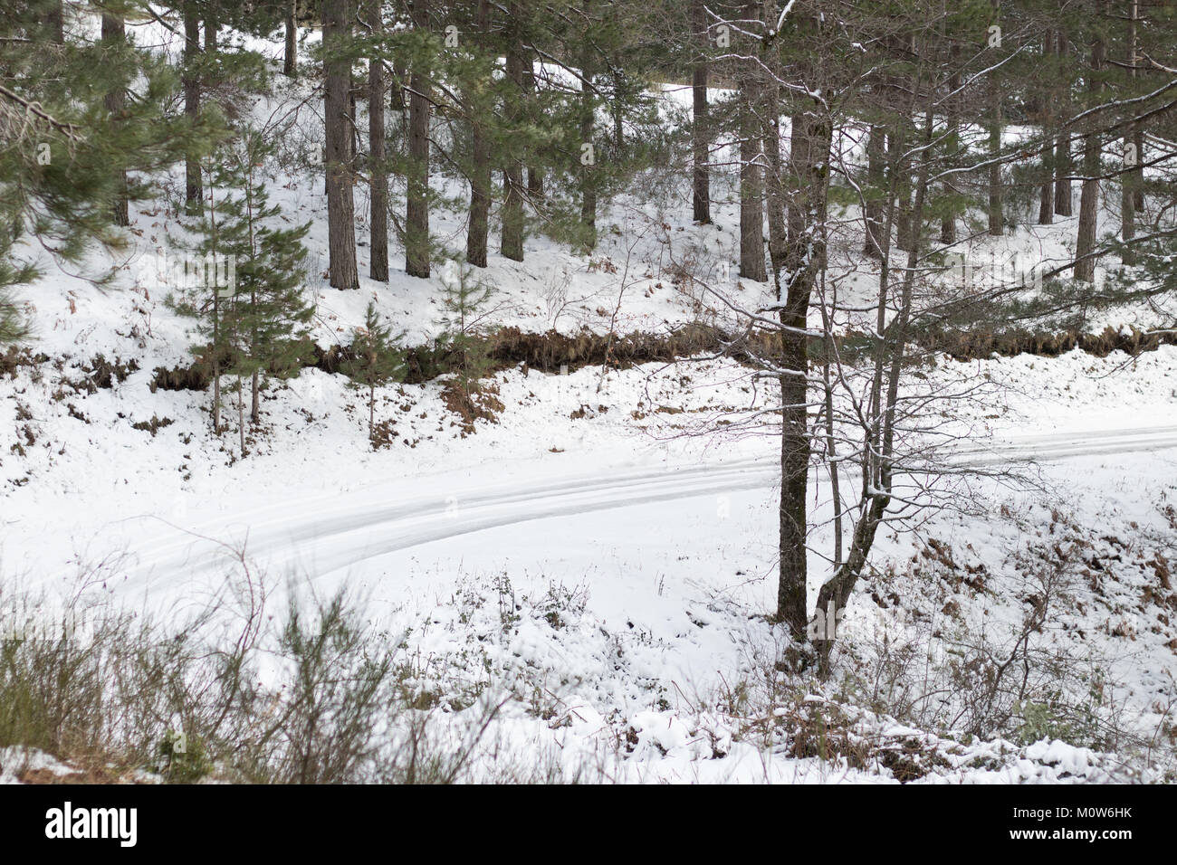 Schnee bedeckt Wald Weg, flacher konzentrieren. Stockfoto