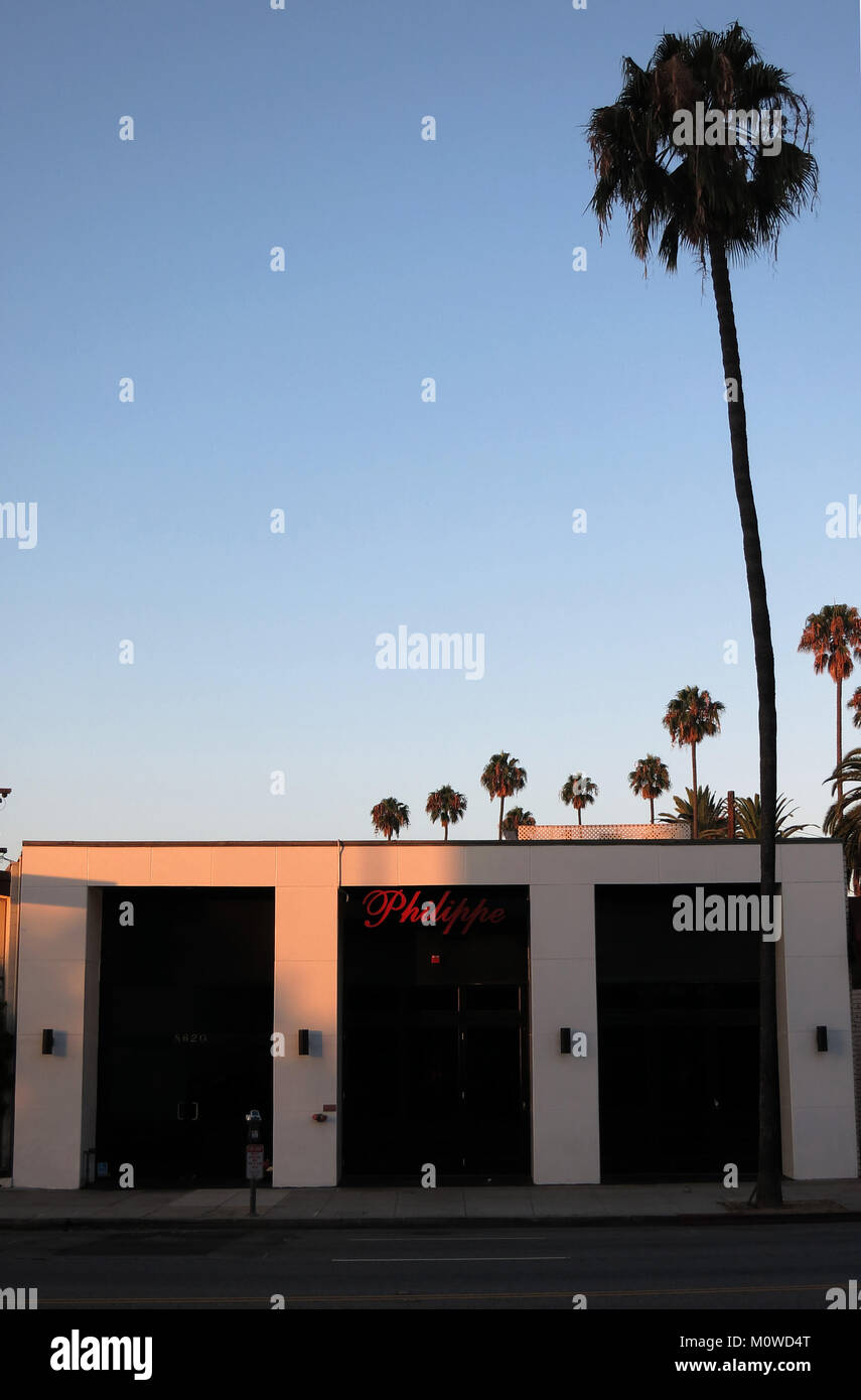 Palmen in Los Angeles, Kalifornien, USA Stockfoto