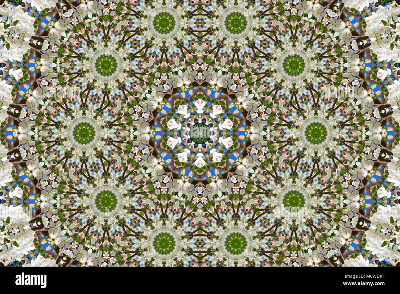 Zusammenfassung Hintergrund von floralen Muster von einem Kaleidoskop. weiß blau grün Hintergrund fractal Mandala. Abstrakte kaleidoskopische Arabesque. Geometrische oder Stockfoto