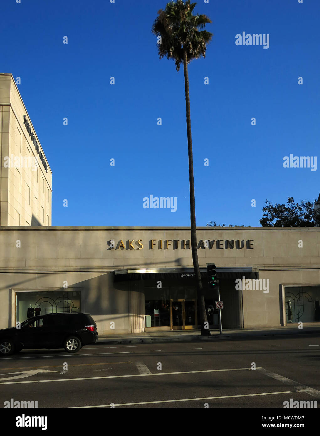 Palmen in Los Angeles, Kalifornien, USA Stockfoto