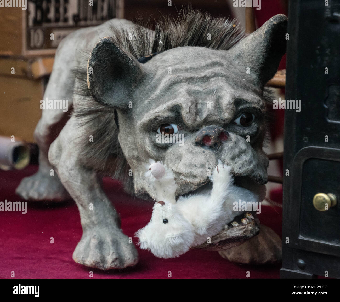 Seltsame Hund Statue in einem Antiquitätenladen in Paris Frankreich Stockfoto