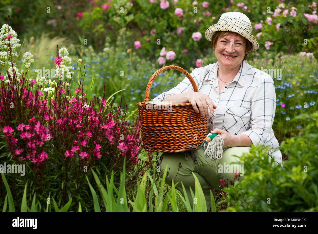 Lächelnd senior Frau Gärtner mit Gartenbau Tools arbeiten mit rosa