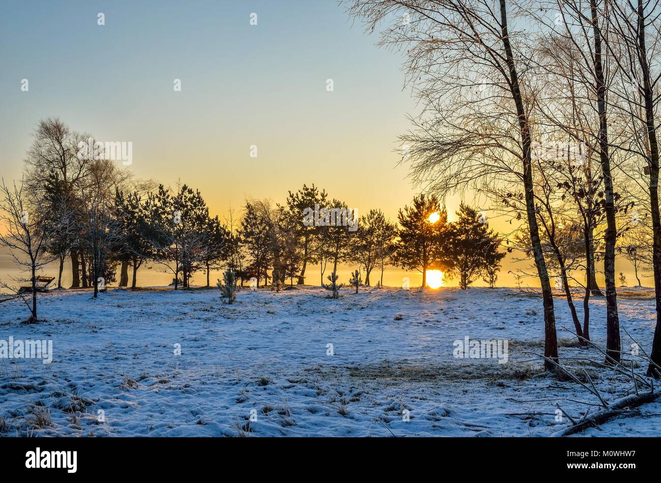 Wintermorgen Landschaft. Bäume am Ufer des Sees am Morgen Farben. Stockfoto