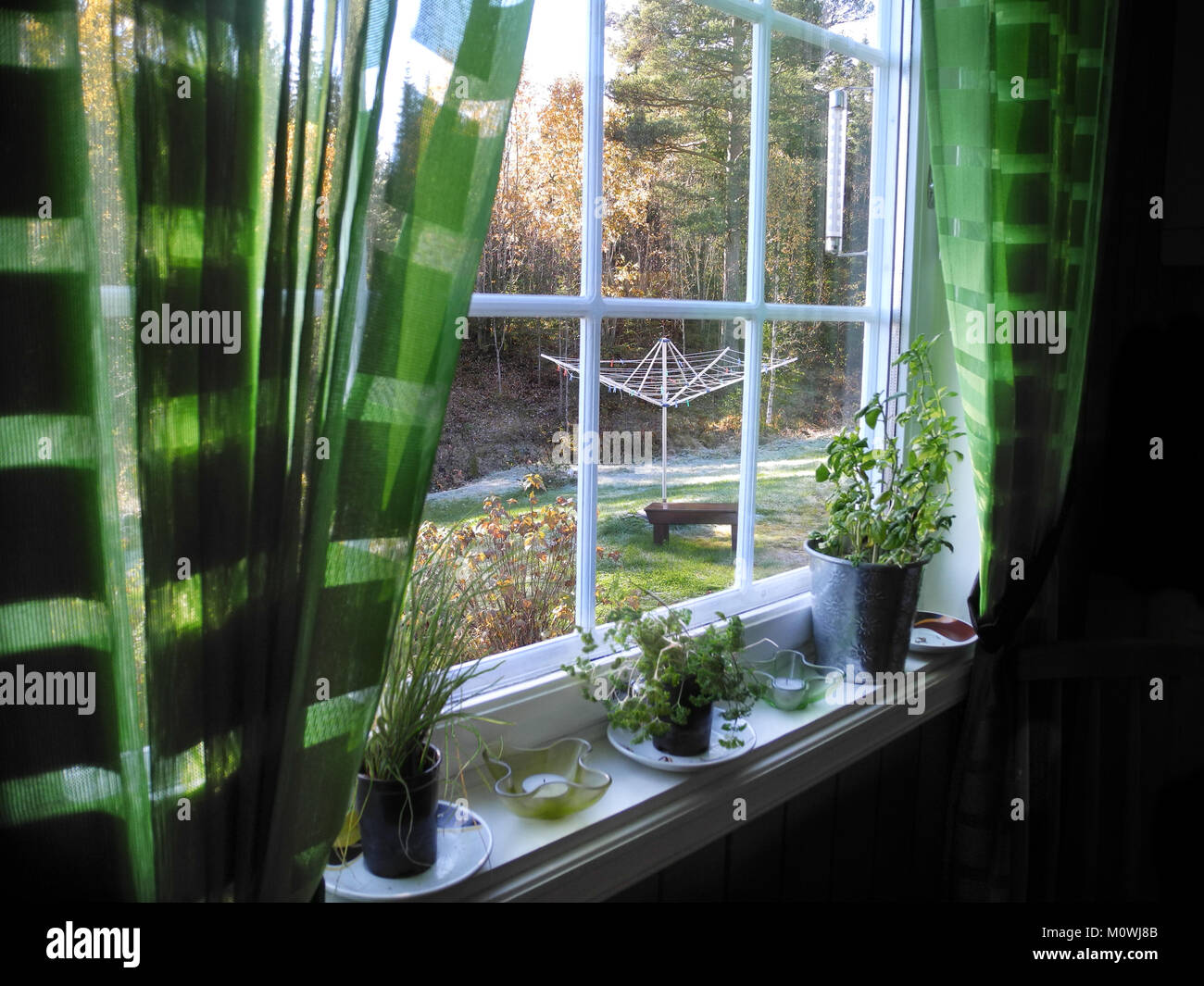 Fensterbänke mit Kübelpflanzen Kräuter mit Blick auf Garten Stockfoto