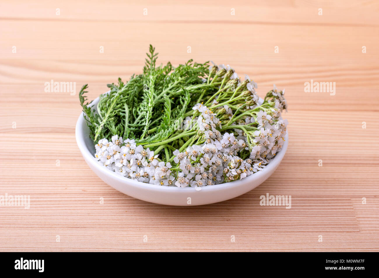 Schale mit frischen Blumen und Blätter der Schafgarbe mit einem hölzernen Hintergrund Stockfoto