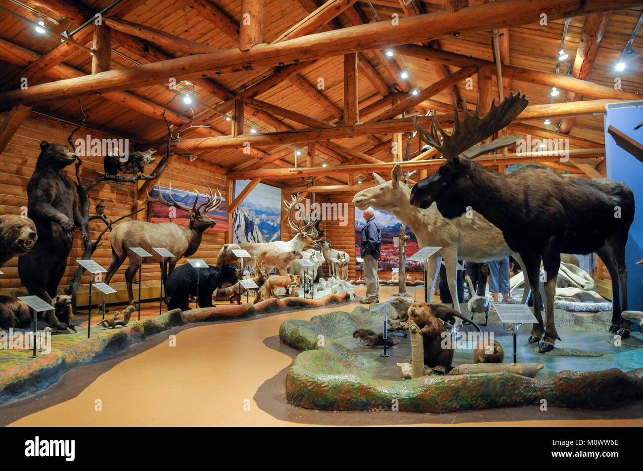 Whitehorse canada -Fotos und -Bildmaterial in hoher Auflösung – Alamy