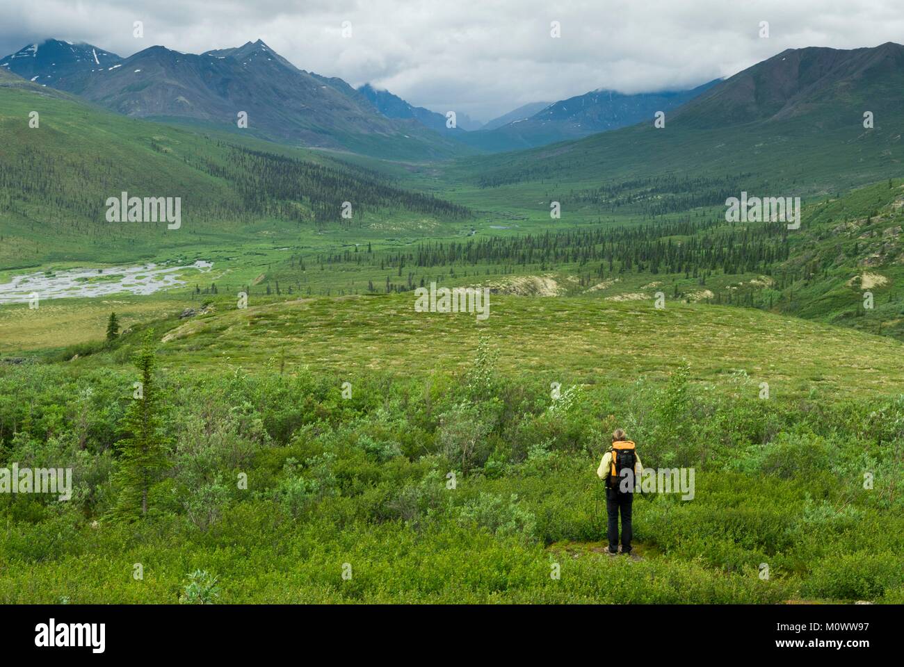 Kanada, Yukon Territory, Tombstone Territorial Park Stockfoto