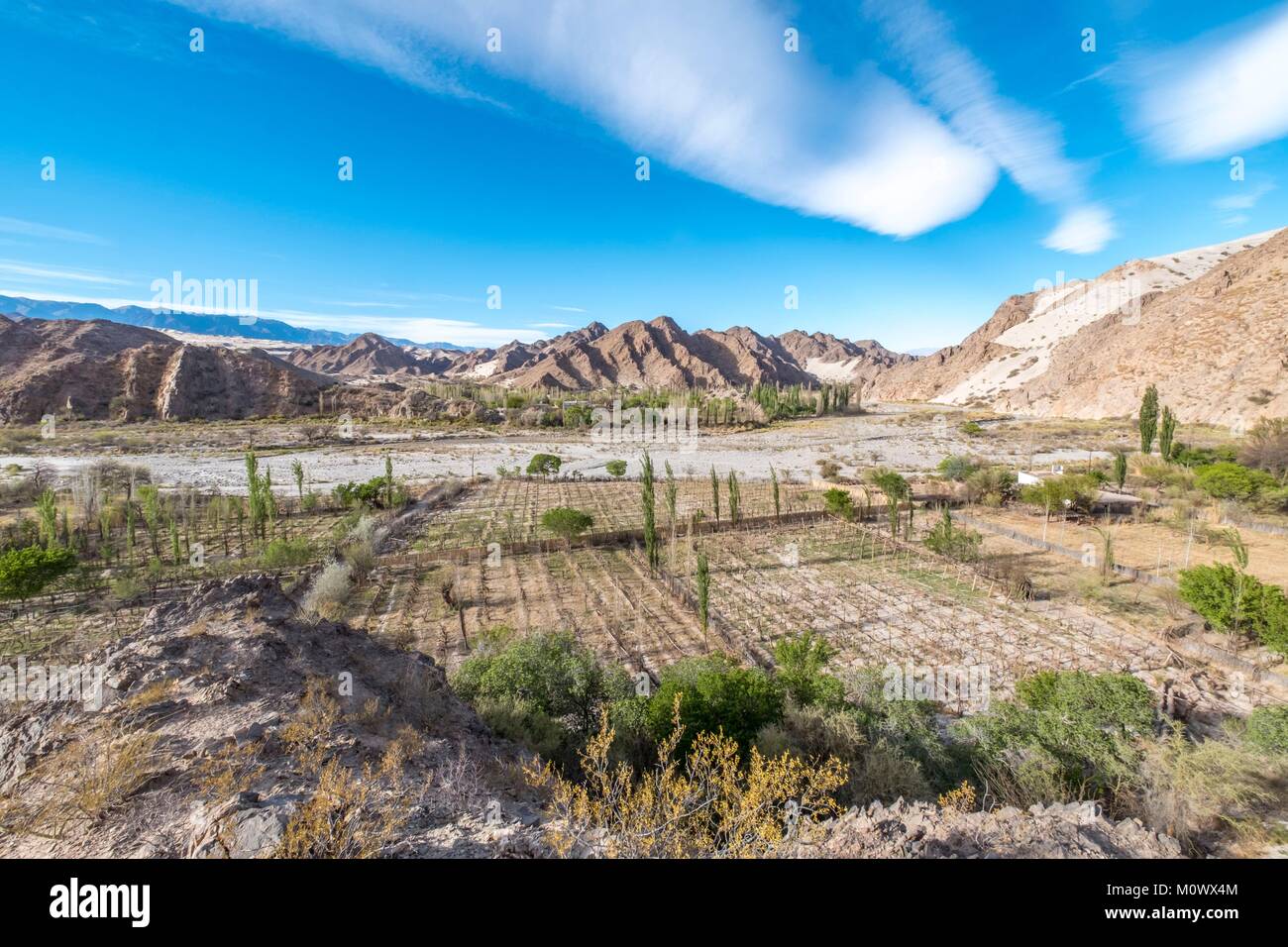 Argentinische, Provinz Catamarca, Taton Oase in der Nähe von Fiambala Stockfoto