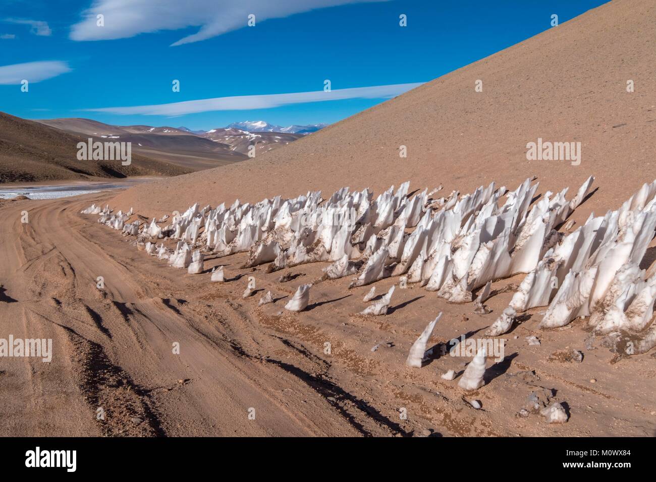 Argentinische, Provinz Catamarca, Puna Wüste, Chaschuil Valley, Route 60 zwischen Fiambala und Chile Grenze Stockfoto