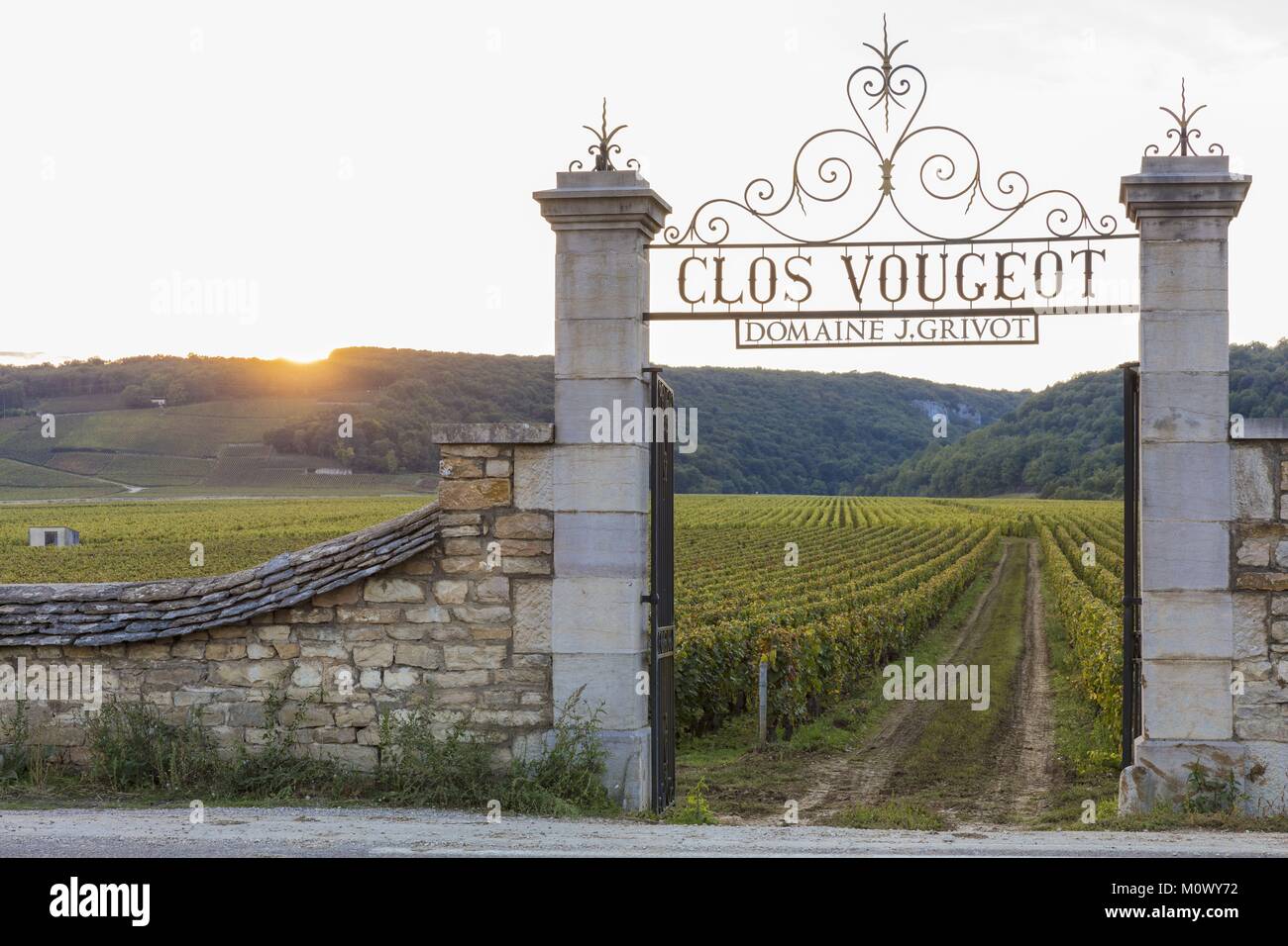 Frankreich, Cote d'Or, Vougeot, kulturellen Landschaft des Burgund Klimas als Weltkulturerbe von der UNESCO, Cote de Nuits, Weinberge in Clos Vougeot, Tor in der Dämmerung (Burgund) Stockfoto