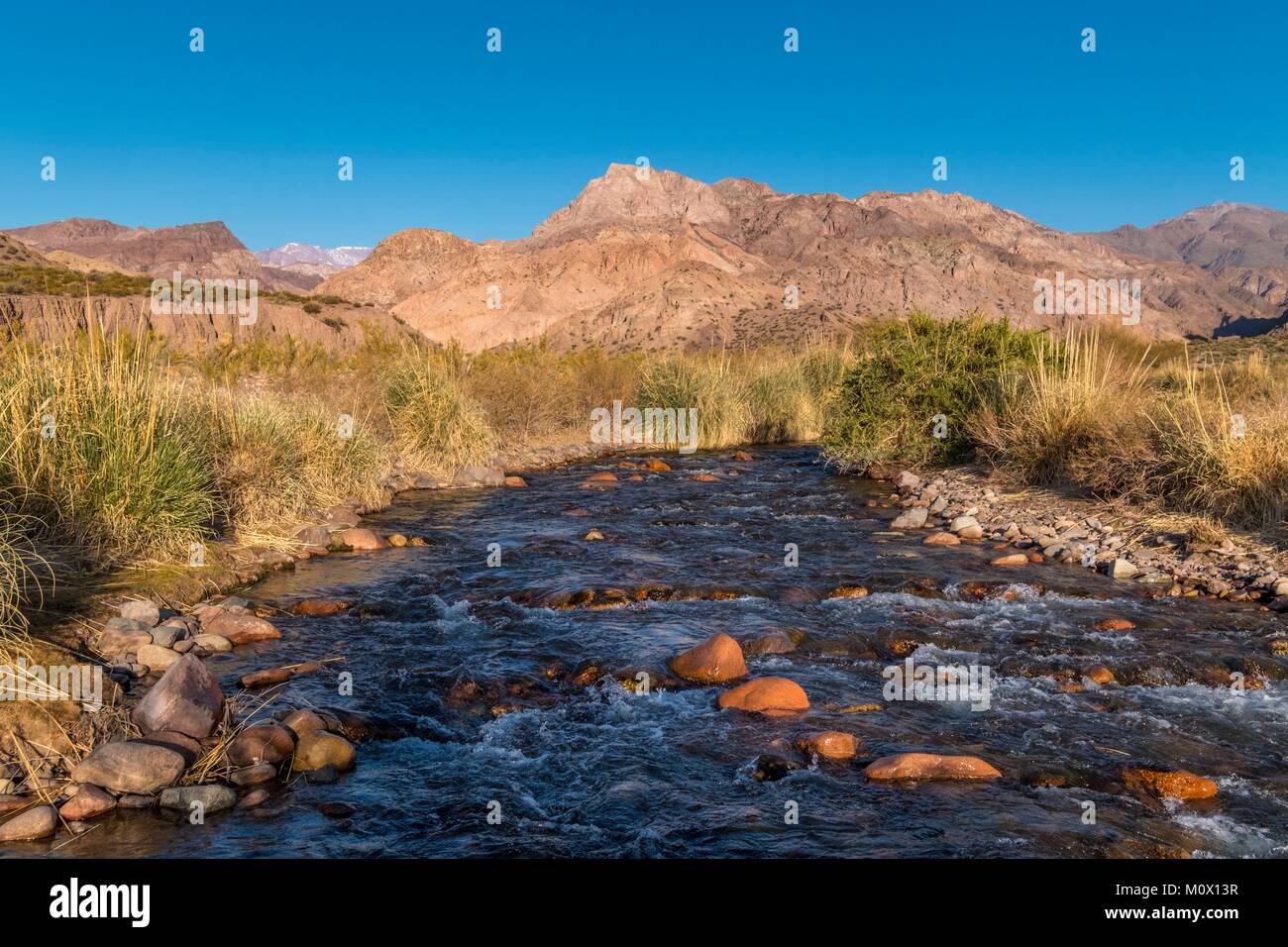 Argentinien, San Juan Provinz, Calingasta, Rio Calingasta Tal Stockfoto