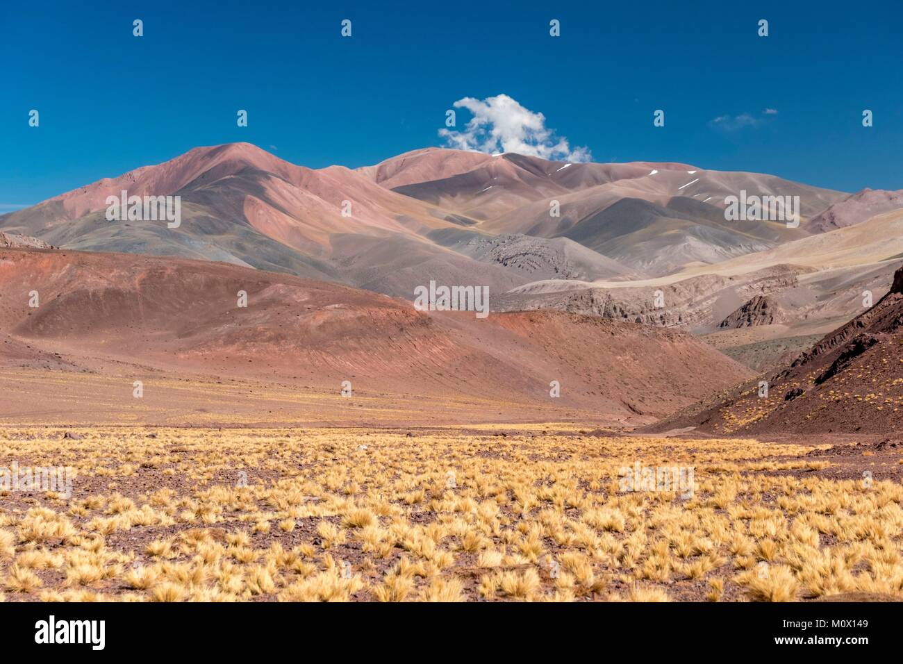 Laguna La Stockfotos und bilder Kaufen Alamy