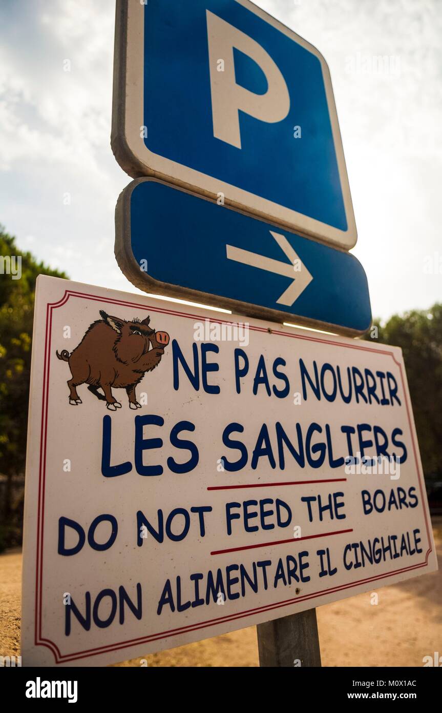 Frankreich, Corse, Bonifacio, Camping des Îles, Verbotsschild füttern Wildschweine Stockfoto