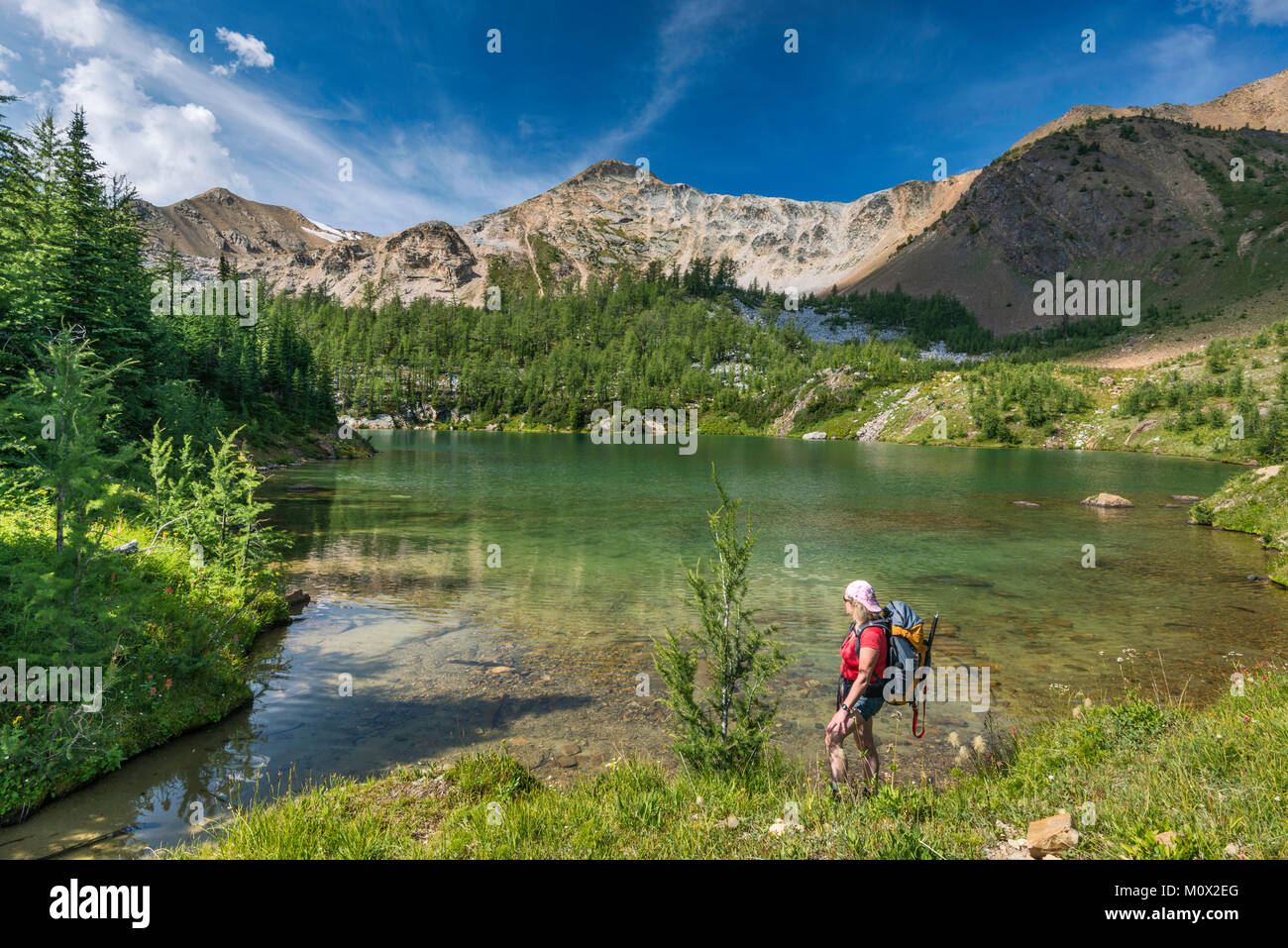 Im mittleren Alter weibliche Wanderer am oberen Brauer See, Berg Brauerei in Distanz, Purcell Mountains, Kootenay Rockies, in der Nähe von Invermere, Britisch-Kolumbien, Kanada Stockfoto