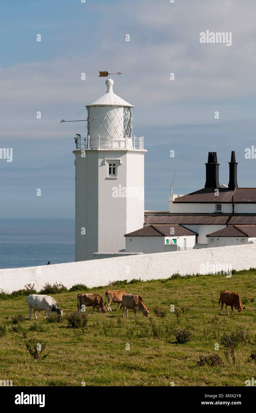Vereinigtes Königreich, Cornwall, Lizard Point, Leuchtturm Stockfoto