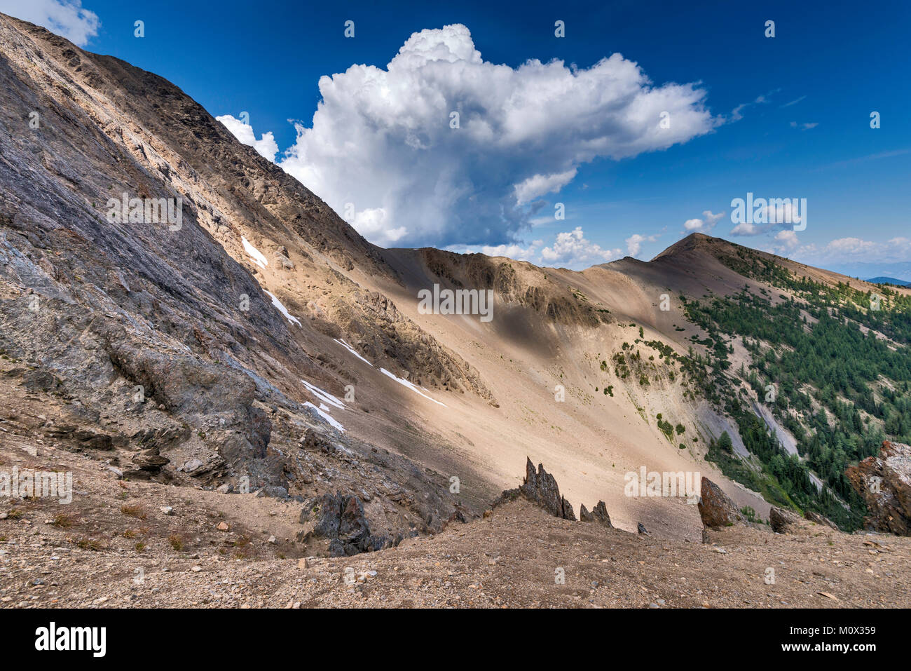 Geröll bedeckten Hängen des Mount Brauer, Purcell Mountains, Kootenay Rockies, East Kootenay Region, British Columbia, Kanada Stockfoto