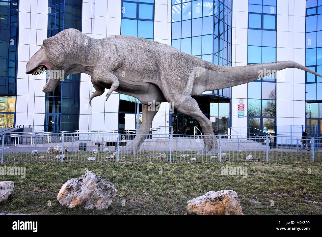 Kattowitz, Polen - 9. MÄRZ 2015: T-rex Statue an der Fakultät für Geowissenschaften an der Schlesischen Universität in Kattowitz. Als 2015 der Schlesischen Universität ha Stockfoto