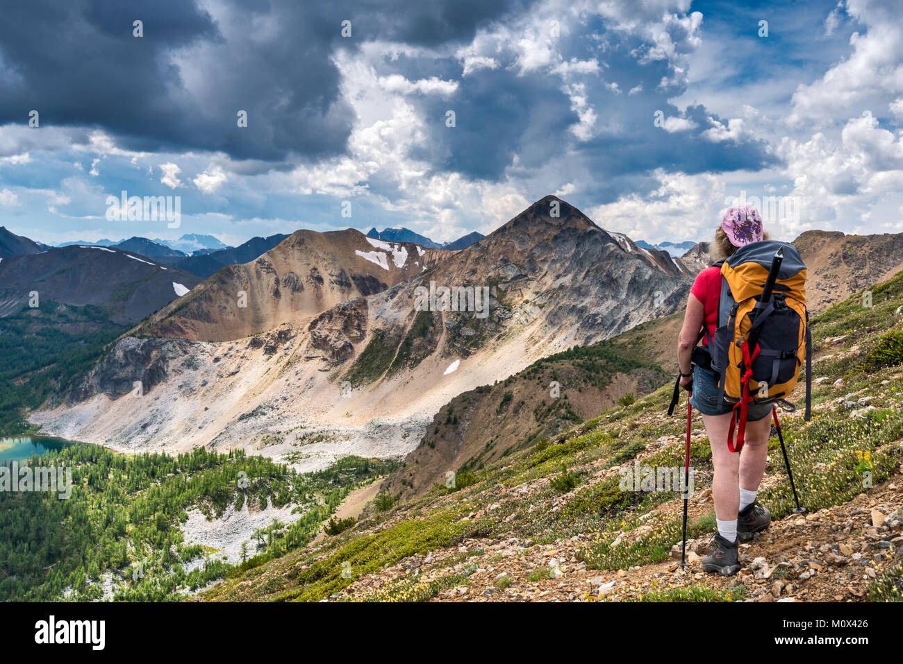 Im mittleren Alter weibliche Wanderer auf namenlose Gipfel über Brauer Becken, südlich von East Ridge des Mount Brauer, Purcell Mountains, British Columbia, Kanada Stockfoto