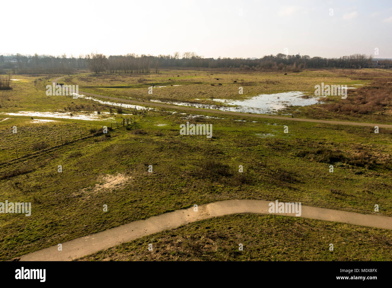 RivierPark Maasvallei, River Park Maasvallei, Naturpark, Reserve, ehemaliger Kiesgewinnung, Teiche an der Maas, Limburg, Belgien. Stockfoto