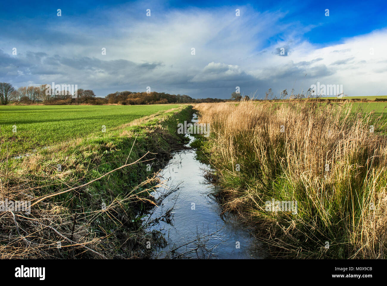 Zentrum Perspektive Landschaft einer mit Wasser gefüllten Graben. Stockfoto