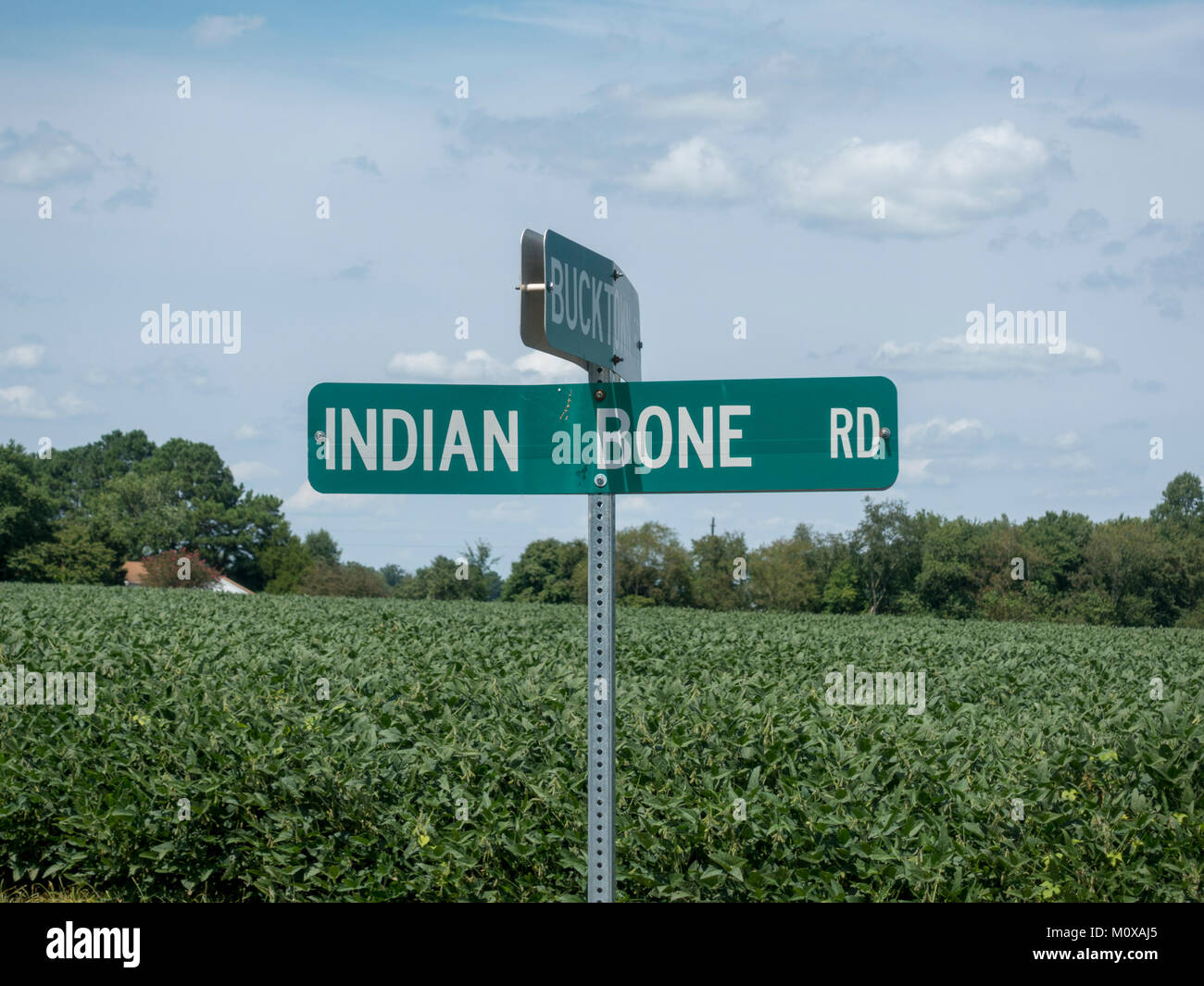 Typische amerikanische Verkehrszeichen an der Kreuzung der indischen Knochen Straße, Bucktown Straße, Maryland, Vereinigte Staaten. Stockfoto