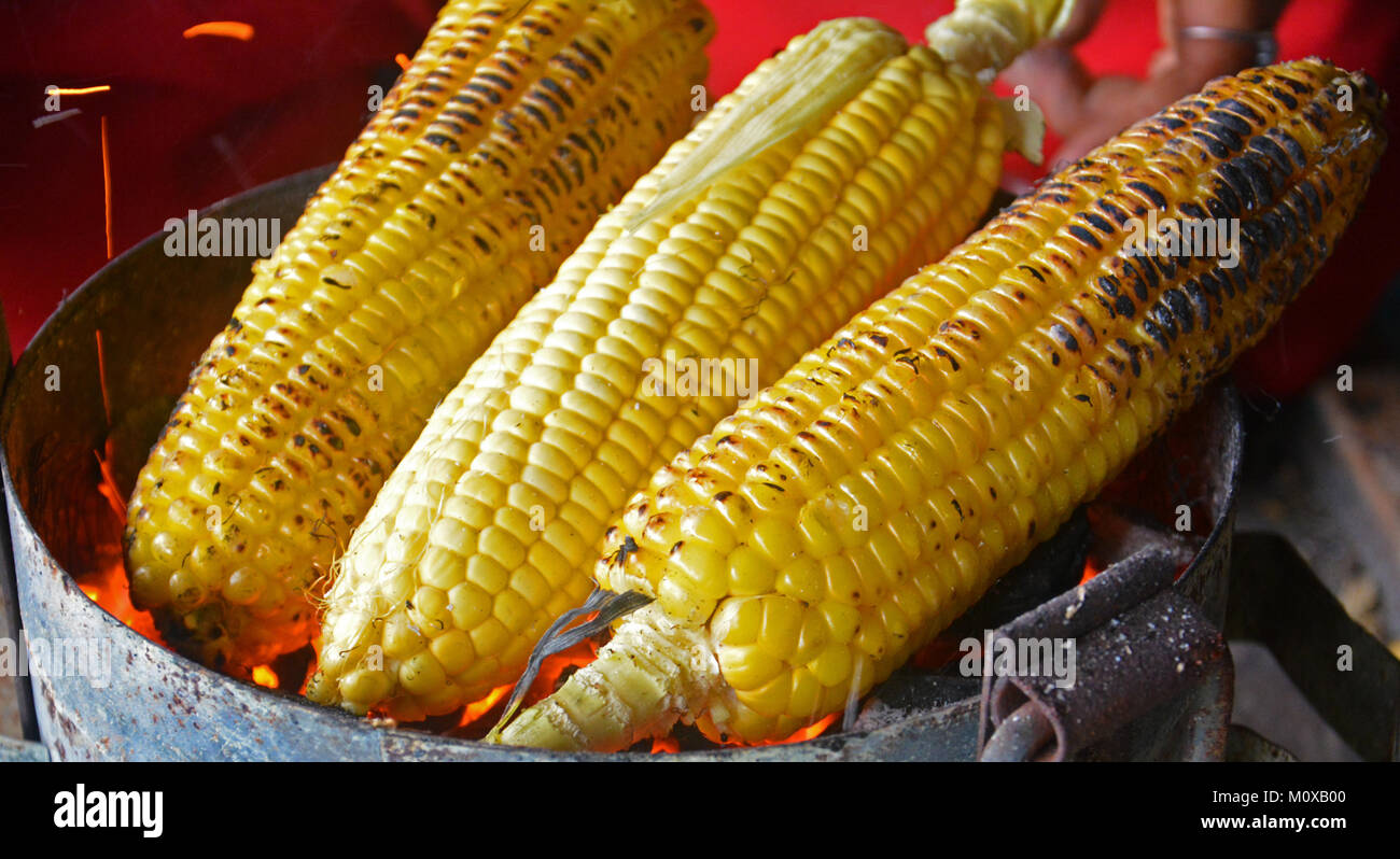 Mais für verkaufen auf einer Straßenseite shop in Indien Stockfoto