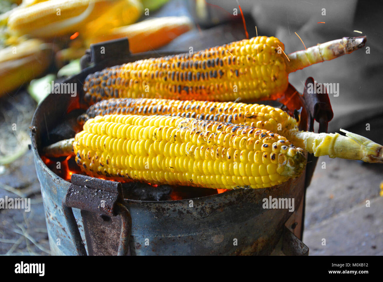 Mais für verkaufen auf einer Straßenseite shop in Indien Stockfoto