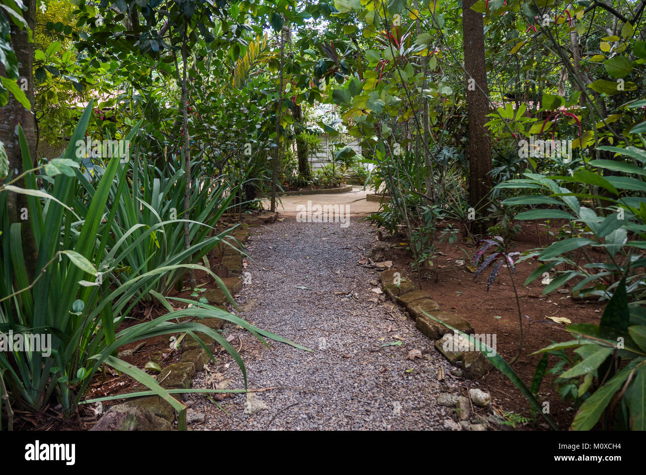 Wege durch Jardín de Caridad Donarían in Vinales, Kuba Stockfoto