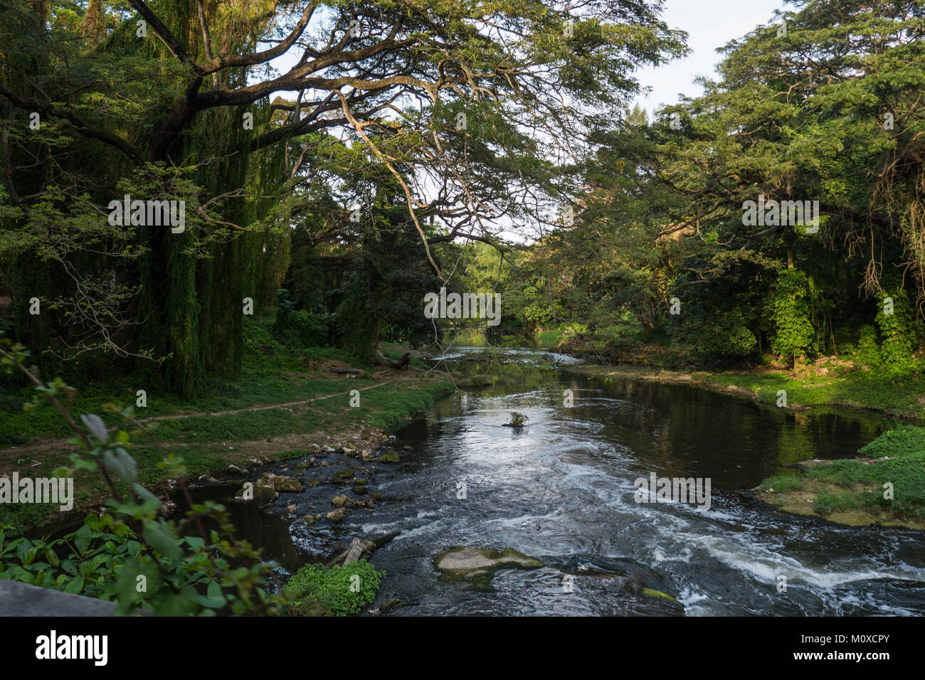 Fluss Almendares