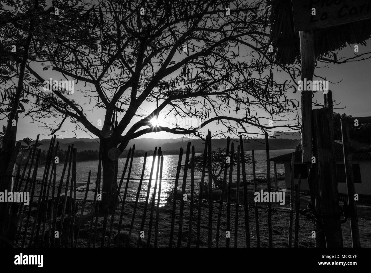 Schwarz und Weiß Sonnenuntergang über Bahia de Miel mit Baum und Zaun Silhouette in Baracoa, Kuba Stockfoto