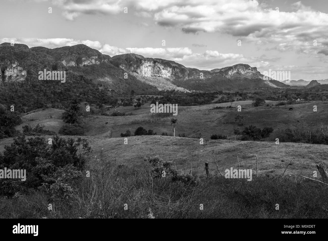 Blick auf Ackerland mit Rolling Hills in Vinales, Kuba. Schwarz und Weiß Stockfoto