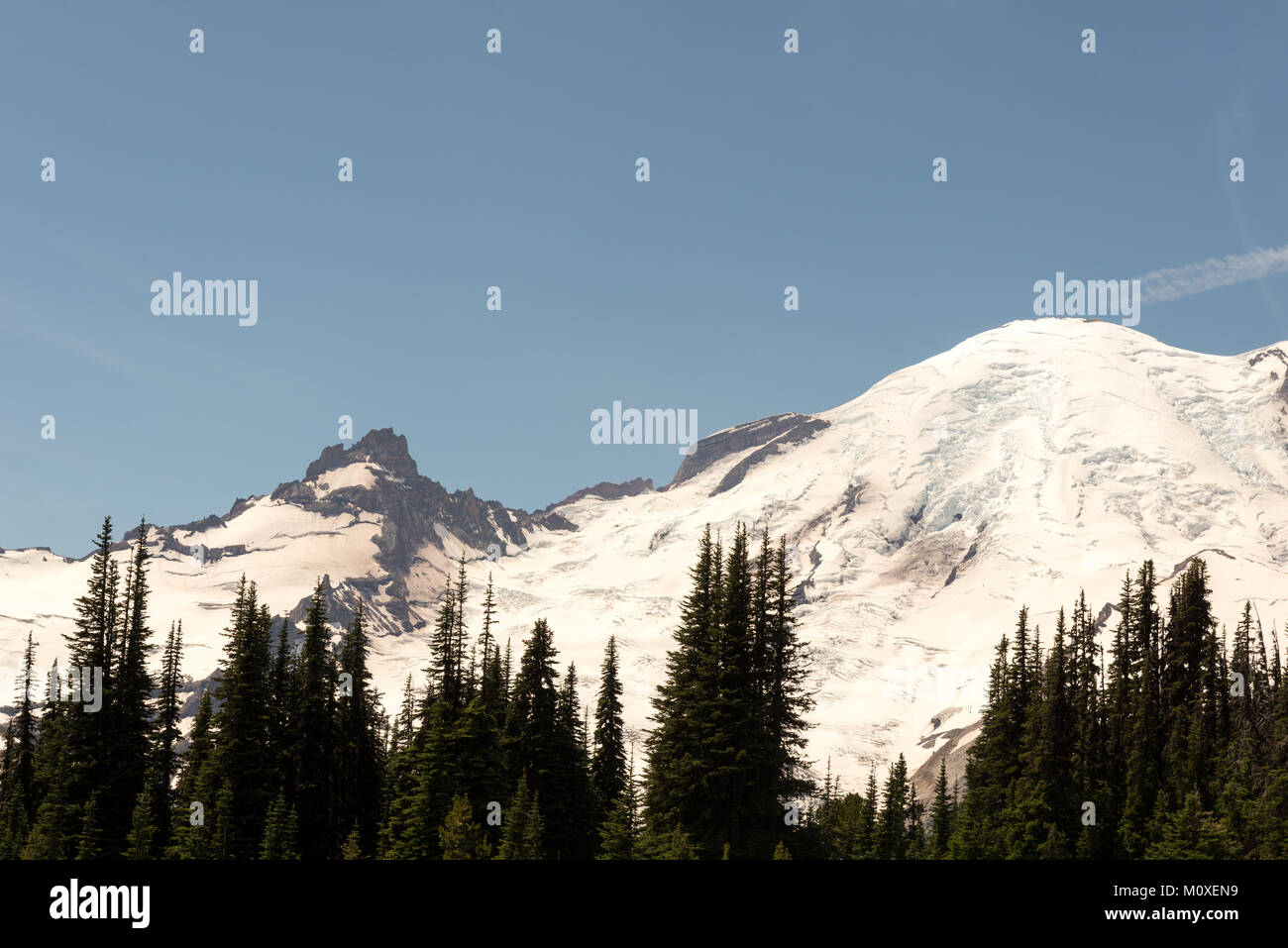 Sommer Blick auf den Mount Rainier Nordseite Stockfoto